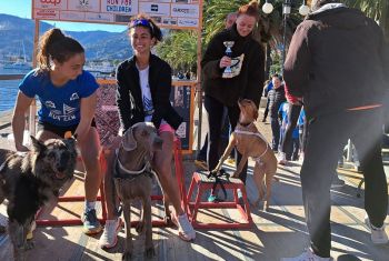 Run e Dog for Children, edizione da record