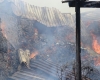 Dopo l&#039;incendio nella Tenuta il Comitato Sarzana, che Botta! ribadisce: &quot;Bisogna difendere il Parco Campagna&quot;