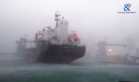 Il maltempo si abbatte su Spezia, container che cadono e una nave si stacca dal pontile (Video)