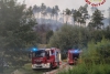 Incendio in Valdurasca: Vigili del Fuoco al lavoro per domare le fiamme