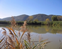 Parco di Montemarcello, i Verdi all&#039;attacco: &quot;Strafalcione di Costa, vogliono prendersi tutte le poltrone&quot;