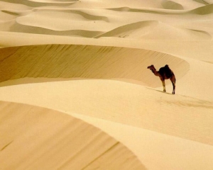 Tanti giocattoli donati per la Ludoteca... nel Sahara