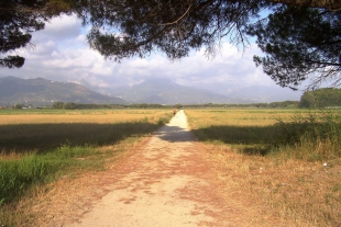 La richiesta di Coldiretti: &quot;Acqua subito nella piana di Marinella&quot;